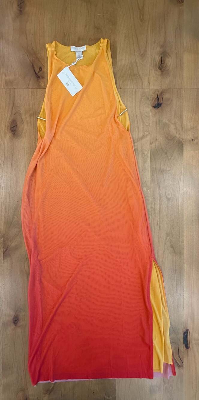 Caroline Constas Ombre Sleeveless Mesh Maxi Dress NWT Medium